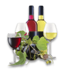 bouteilles de vins